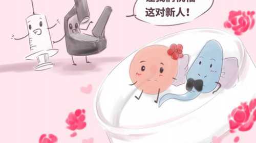 北京代孕会影响身体健康吗|试管婴儿为什么要查输卵管？
