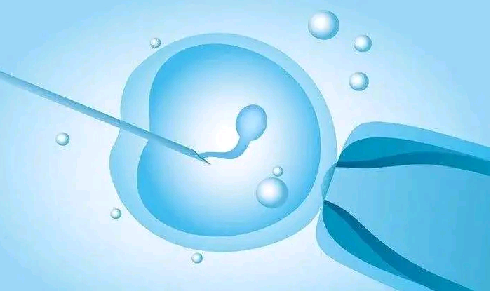 北京天子助孕地址,北京试管助孕机构排名前附供卵生子医院名单？