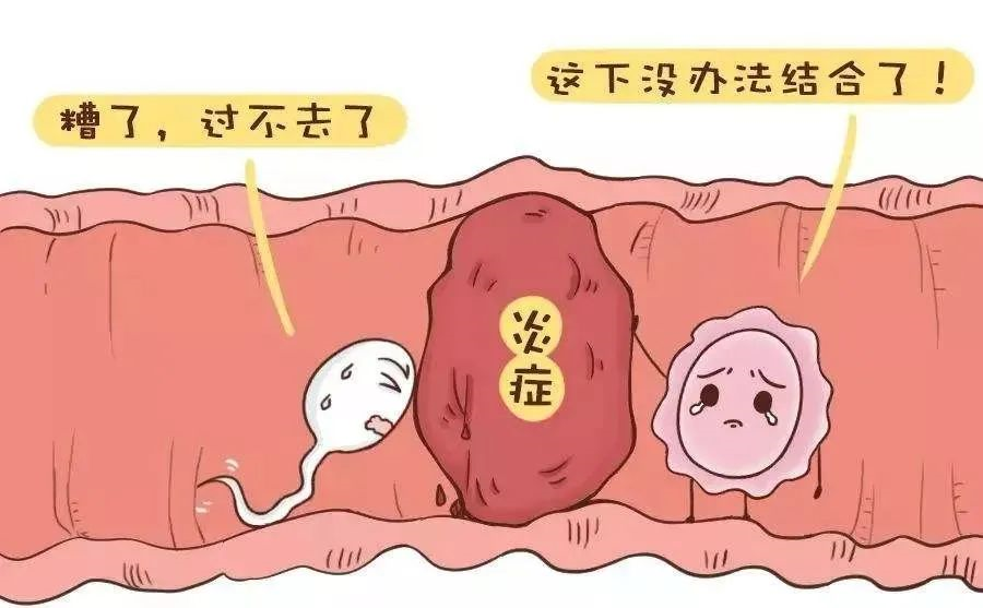 北京代孕还要等多久|2023
宜昌市人民医院试管婴儿成功率一览，附试管医生推荐
