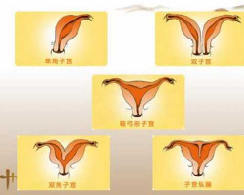 北京助孕价格咨询网,网友分享在北京做四维彩超攻略