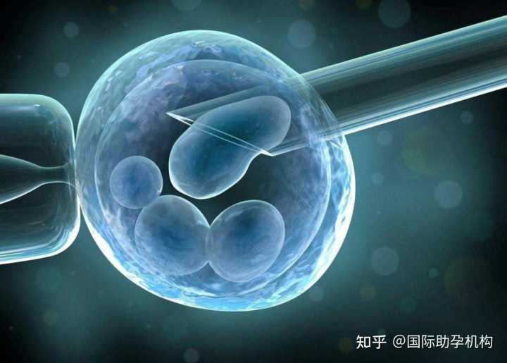 北京想找女人助孕的地方,在北京私立妇产医院顺产生孩子大概要多少钱？