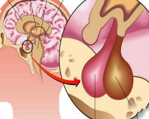 北京代怀生子助孕,北京中医药大学东方医院？(2024北京东方医院试管婴儿费用明
