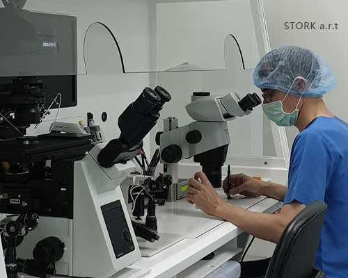 北京试管代怀,北京哪个医院能做供卵试管婴儿？北京做三代试管婴儿的费用多