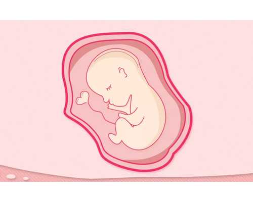 一级甲等医疗事故赔偿标准