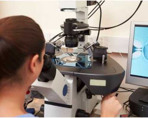 北京在哪找代怀,北京做借卵试管男孩要多少钱？附北京——试管费用一览？