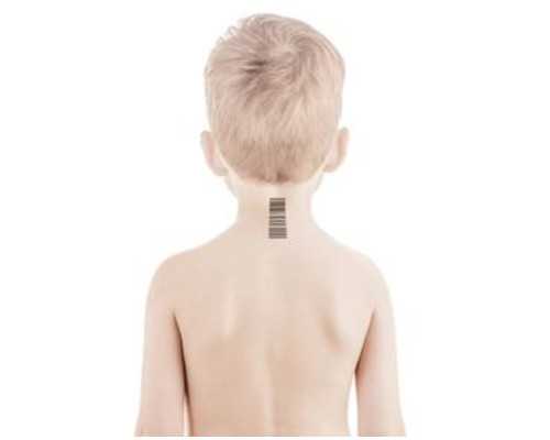 NT的三个亮点是男孩和女孩。