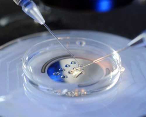 2024北京三代供卵试管包生男孩的套餐价格贵吗？