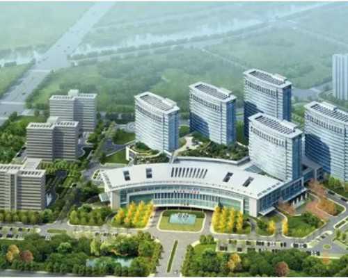 两厢混动版有望一同亮相，本田思域e：HEV或2024成都车展上市