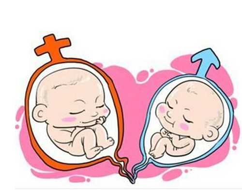 北京试管供卵包成功|北京供卵助孕公司试管生男孩排名？