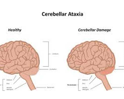 北京有代孕中介吗|内蒙古自治区2024
年最新供卵试管助孕医院排名-内附内蒙古