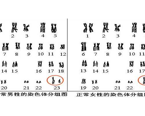 北京做供卵试管不用等|北京供卵试管医院排名？附医院名单？