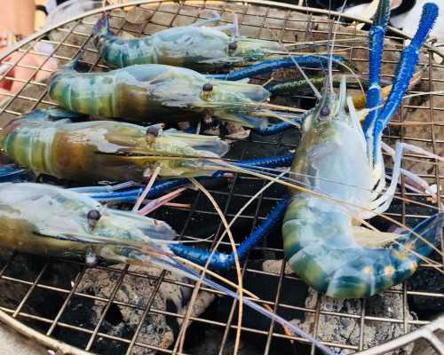 孕期喝什么水最好