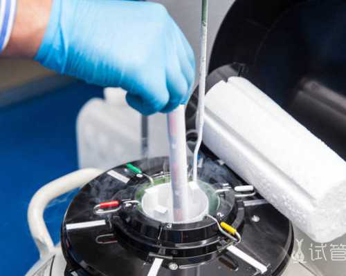 北京试管供卵助孕医院|北京助孕公司有哪些，2024
北京试管助孕医院排名！