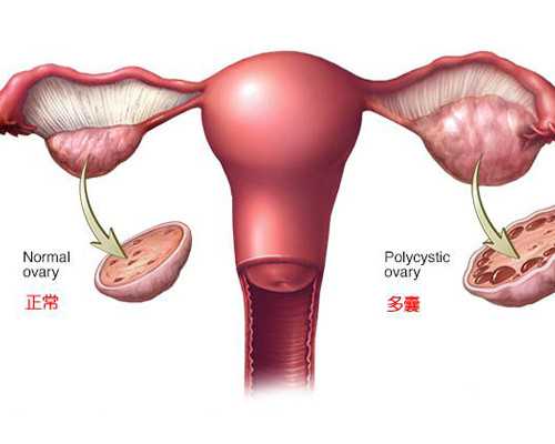 北京试管代孕需结婚证|坐标娄底涟源，想要去做三代试管有一起去的姐妹吗？