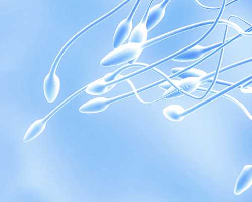 北京代孕网哪个好|宁波供卵试管医院排名是多少？