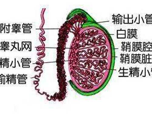 北京代怀孕价格,北京三代试管包成功_北京三代试管攻略