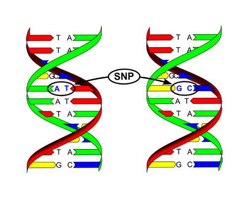 北京大龄试管婴儿|北京试管婴儿医院备孕需知