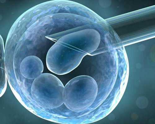 如何选择补肾的中成药？