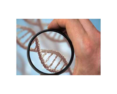 北京私人代孕医院,北京医院助孕孩子电话？，北京协和医院试管婴儿成功率高