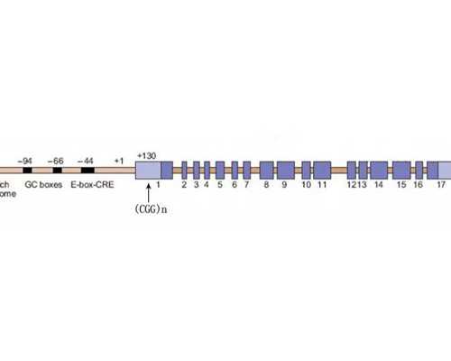 北京试管代生费用报销,有在北京美中宜和生殖实验室做过试管婴儿的吗？