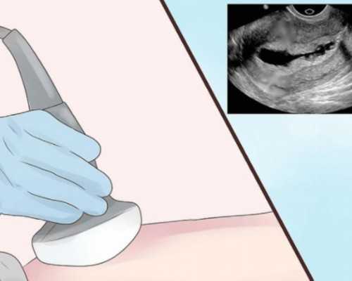 北京有代怀生子|2024浙江供卵生殖中心排行榜！做供卵试管如何提高成功率