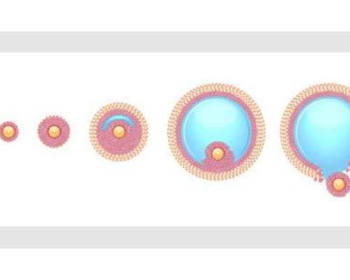 北京供精生试管宝宝,北京借卵去哪做,北京直播工厂网红月入十万