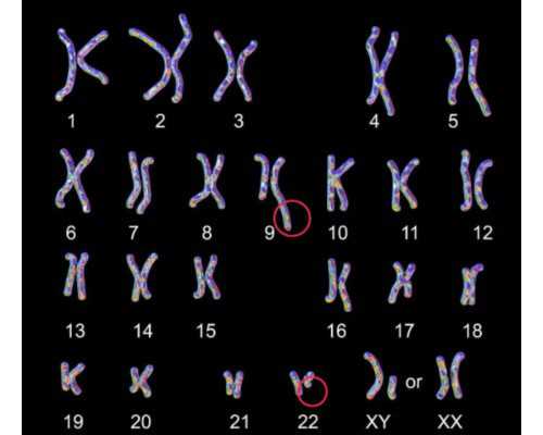 北京寻找代孕医院,北京家圆医院供卵试管要等多久？北京供卵试管医院排名是