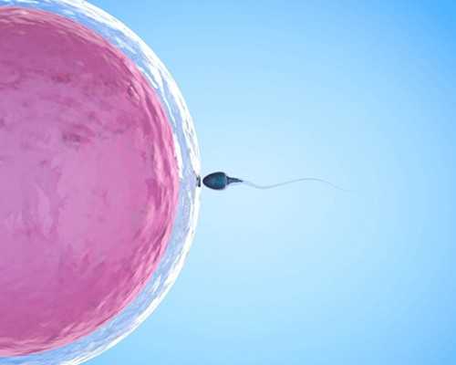 北京代孕的详细流程|北大深圳医院三代试管婴儿包生男孩费用多少，15万费用够