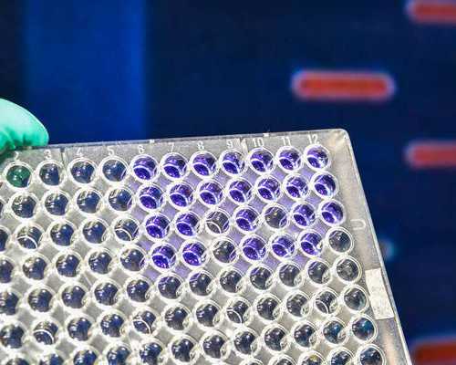 孩子不爱吃饭怎么办