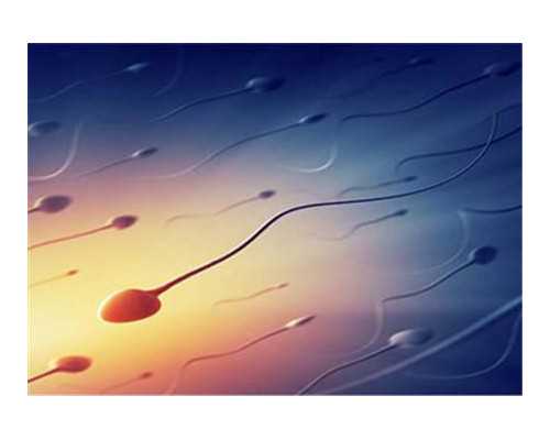 北京本地高端助孕机构|2024北京可以做供卵试管婴儿的私立医院有哪些？附北京