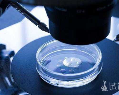 北京哪个代孕公司好,北京有正规的供卵试管机构吗？北京试管婴儿医院取卵后