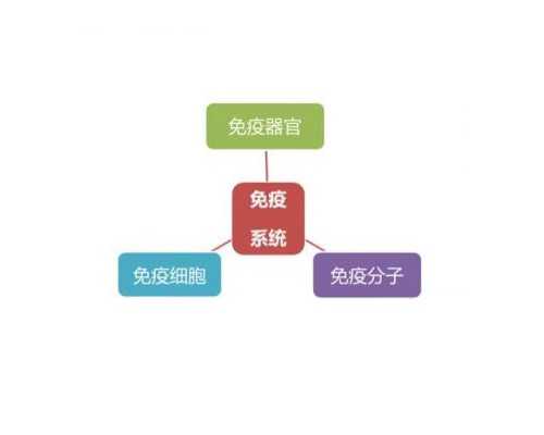 北京助孕供卵,北京治妇科病专家网络咨询