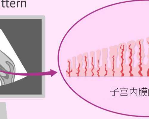 北京代怀公司信息,[北京3代试管]北京试管第三代成功率高吗