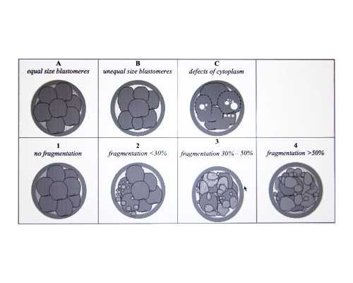 北京怎么和代孕公司合同|2024韶关三代供卵生男孩医院名单大全！附最新借卵生
