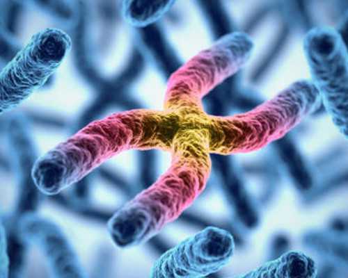 北京有哪些医院提供三代试管助孕服务？,排名前十的北京试管助孕机构