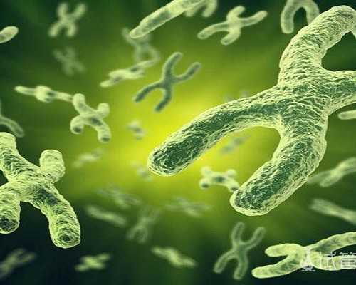 北京供卵哪里有卵源检测,2024年度盘点｜北京卫生健康十件大事，三甲“+7”、