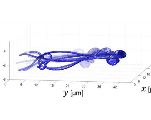 林州市能做助孕试管婴儿吗？打算出国做第三代要花多少钱？