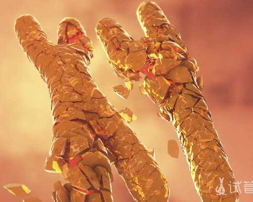 北京供卵试管多少钱|北京助孕公司排名-正规试管生子机构