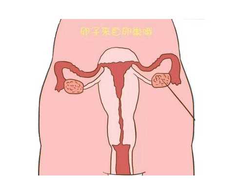 北京供卵代生,北京协和做试管成功率高吗？北京妇幼保健院试管婴儿费用多少