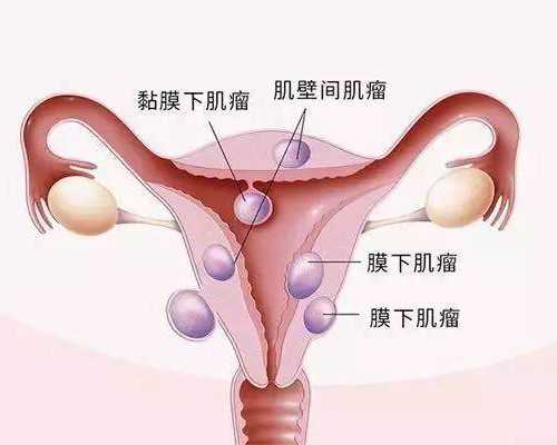 北京中心代怀过程,「难以割舍」北京试管价格