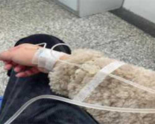 孕期痔疮生产后会好吗