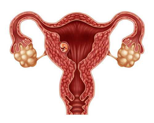 北京医院有供卵吗,北京协和医院供卵试管成功率如何？三代试管双胞胎在北京