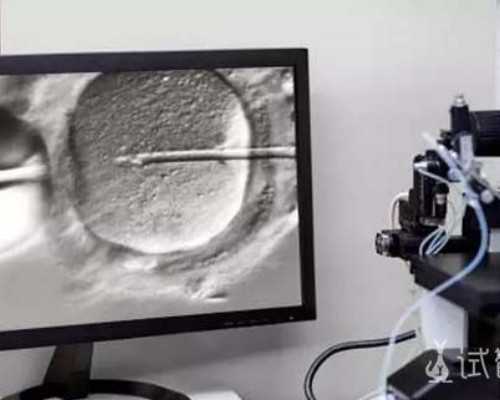 天津哪个医院试管做的好 天津哪个医院试管做的好些