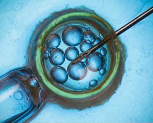 北京助孕公司机构名单,性别鉴定在北京三代试管过程中扮演什么角色？