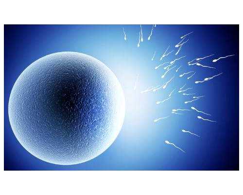 买联名的哭了？普款 Superstar 带来「全透」配色！颜值不错