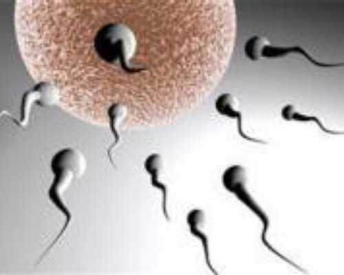 北京试管代孕医院环境,2024北京协和医院供卵试管多少钱？附北京供卵试管费用