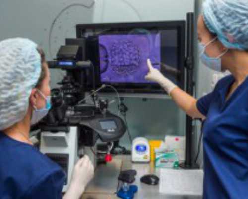 铜蓝鹟：鸟中的“蓝色妖姬”