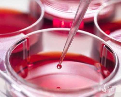 北京代生地址电话|北京301解放军总医院试管怎么样？