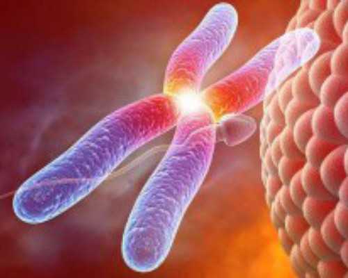 北京供精试管适应症,北京做试管婴儿费用大概多少钱?来看看网友的说法吧