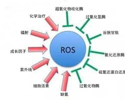 2025年北京新生儿上户口最迟不能超过几个月？